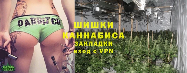 шишки Алексин