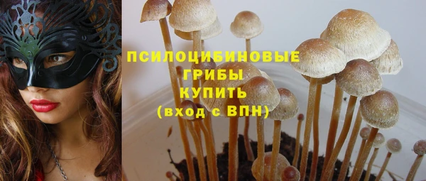 шишки Алексин
