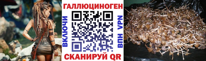 Галлюциногенные грибы MAGIC MUSHROOMS  продажа наркотиков  Павловская 